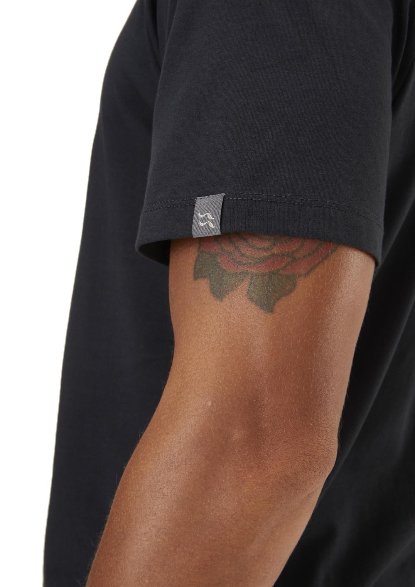 Stance Mountain SS Tee